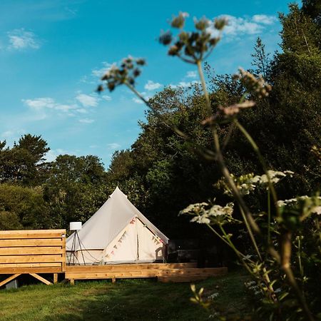 Willow Valley Glamping Bude Eksteriør bilde