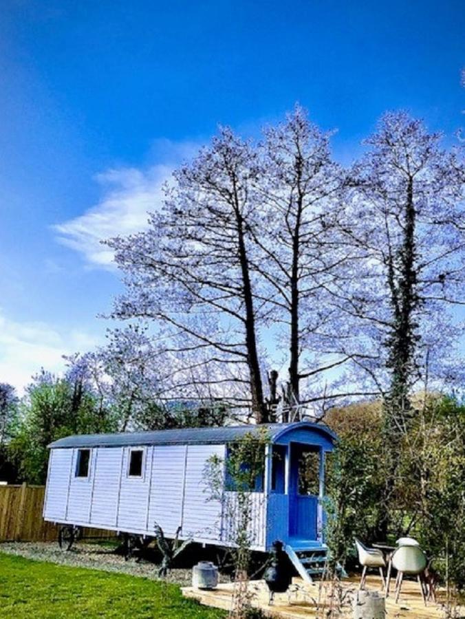 Willow Valley Glamping Bude Eksteriør bilde
