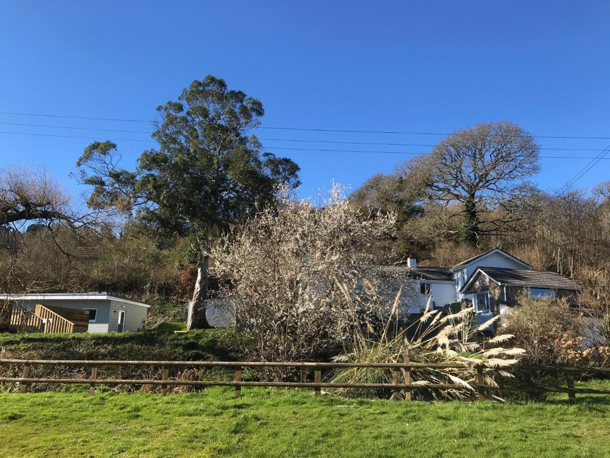 Willow Valley Glamping Bude Eksteriør bilde