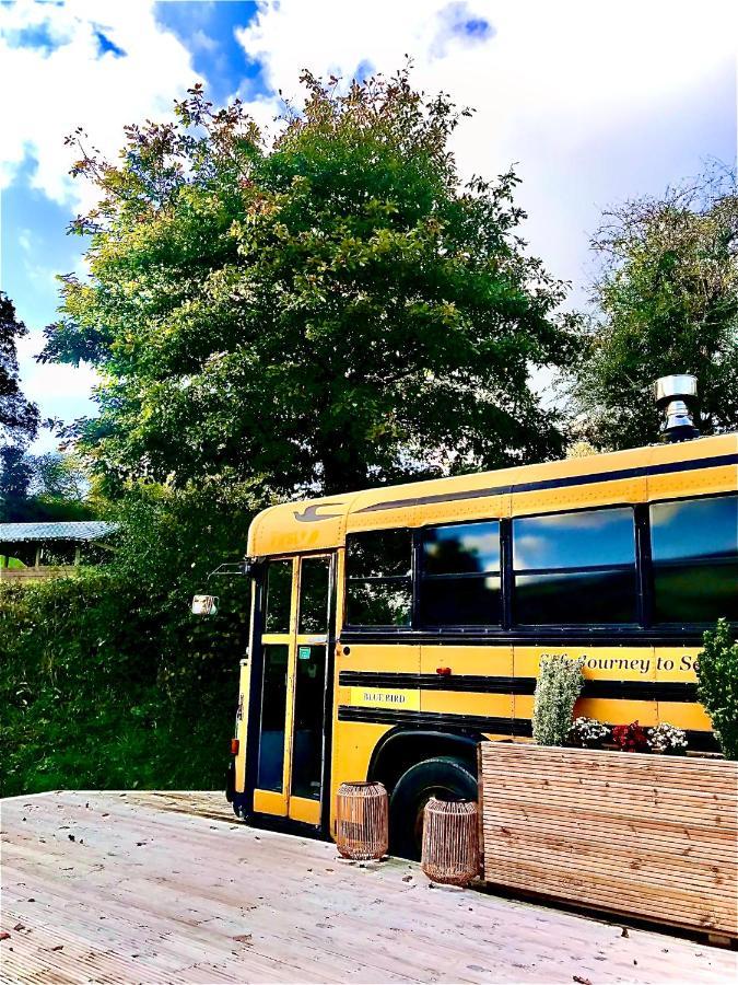 Willow Valley Glamping Bude Eksteriør bilde