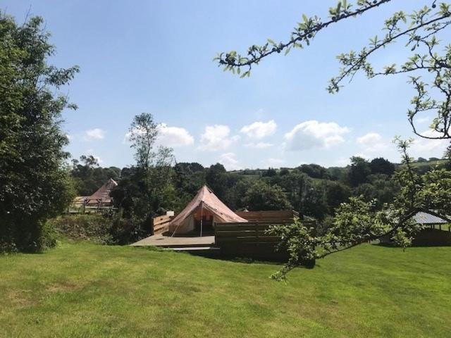 Willow Valley Glamping Bude Eksteriør bilde